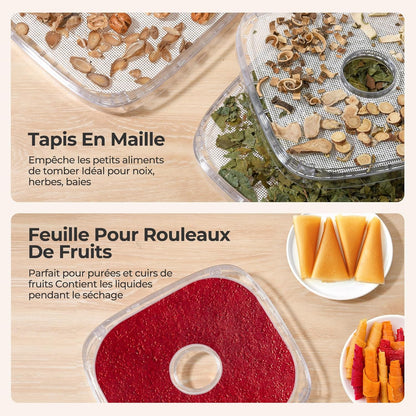 Deshydrateur Alimentaire 8 Plateaux, 72H Temps & Température