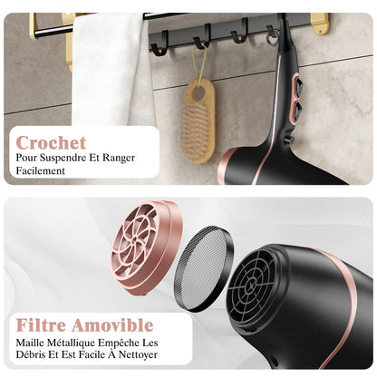 Sèche-cheveux professionnel, 2 vitesses et 3 niveaux de température