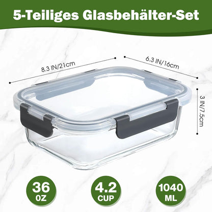 Lot de 5 Lunch Box Verre Réutilisables, Sans BPA
