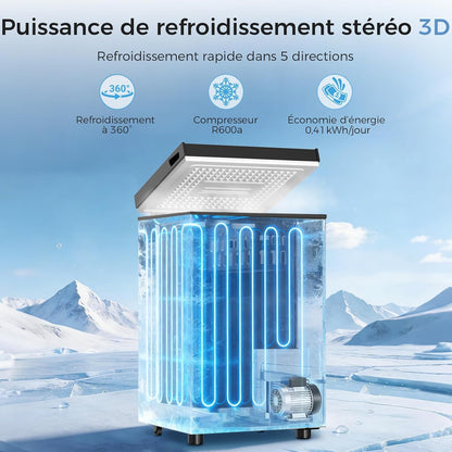Congélateur coffre 100L, pose libre, Noir | 2 paniers amovibles