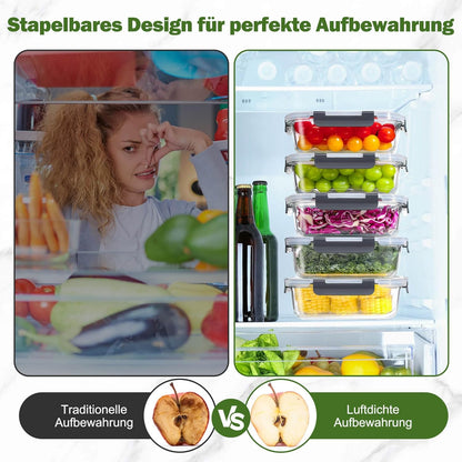 Lot de 5 Lunch Box Verre Réutilisables, Sans BPA