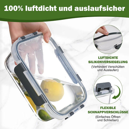 Lot de 5 Lunch Box Verre Réutilisables, Sans BPA