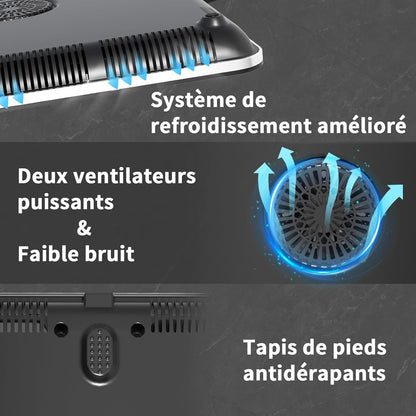 Plaque de cuisson à induction – Double plaque à induction, 10 niveaux de température