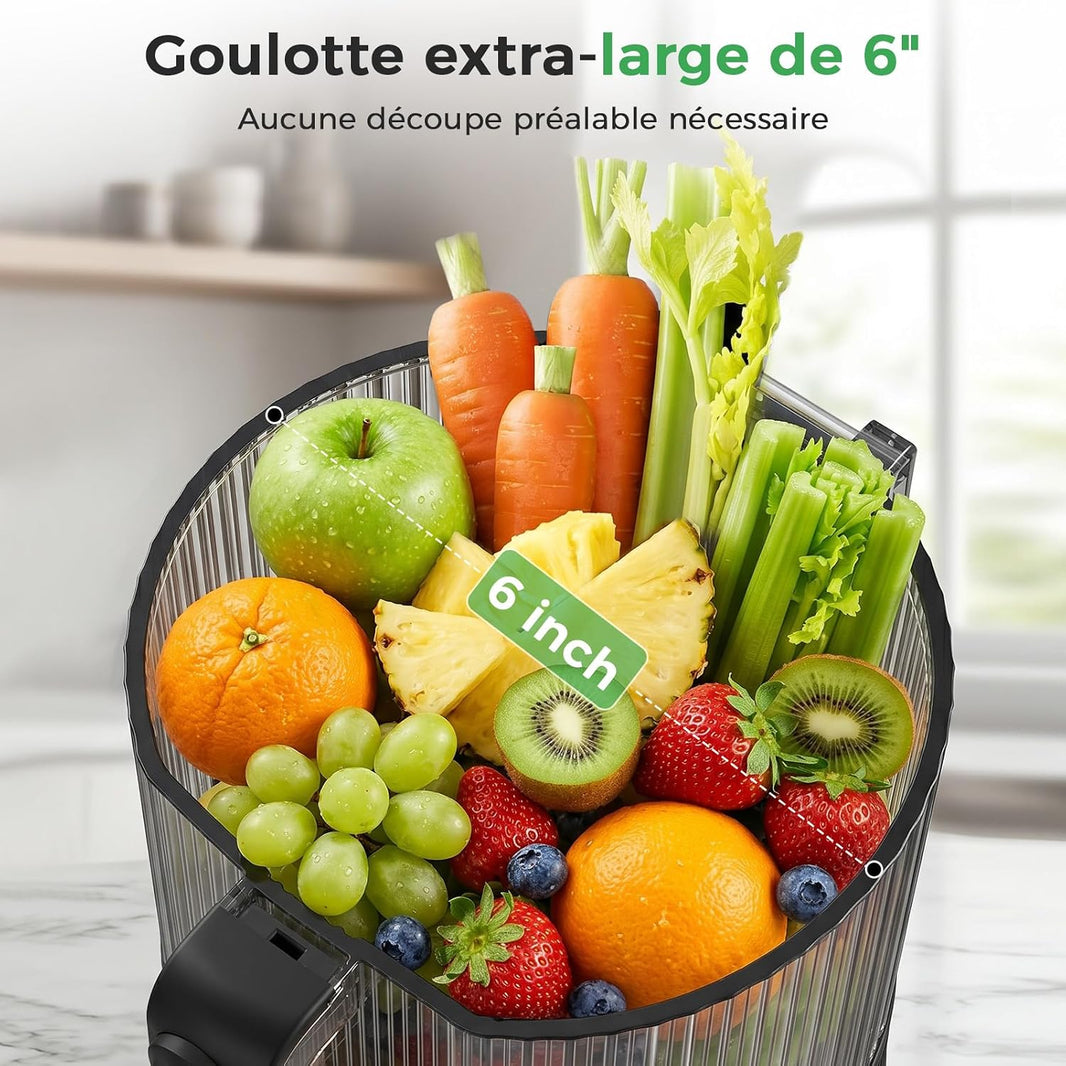 Extracteur de Jus à Froid 600W, Goulotte Extra-Large 152 mm pour Fruits et Légumes Entiers