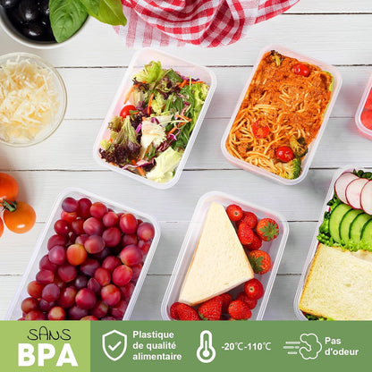 Boîte Alimentaire Set, 4 Pièces Boîtes Alimentaires Plastique Réutilisables avec Couvercles Hermétiques