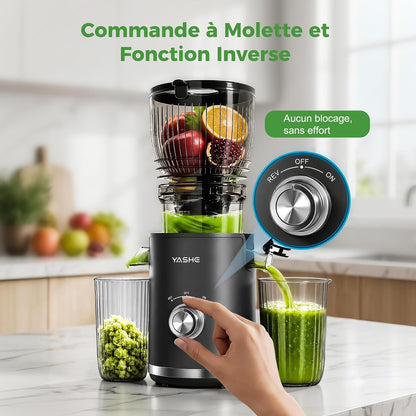 Extracteur de Jus Lent 300W, Goulotte 148 mm pour Fruits et Légumes Entiers
