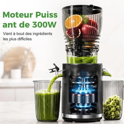 Extracteur de Jus Lent 300W, Goulotte 148 mm pour Fruits et Légumes Entiers