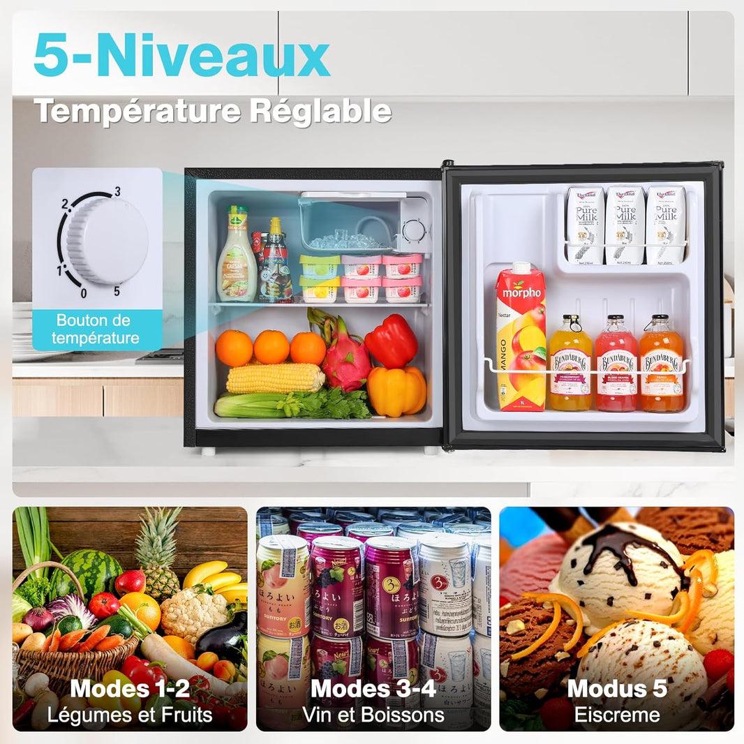 Mini Réfrigérateur 52L, Mini Congélateur, Petit Frigo